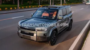 BYD Leopard 7 Titanium