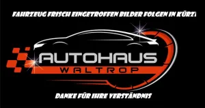 Peugeot 2.0 BlueHDi 145 L2