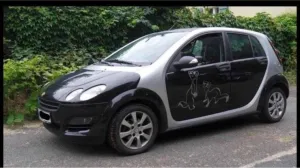 Smart Forfour 1.1