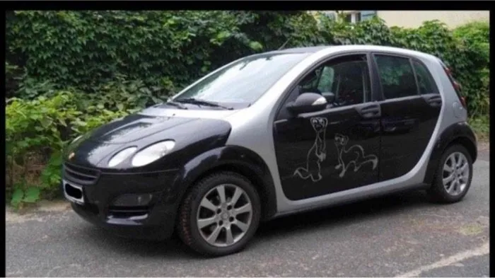 Smart Forfour 1.1