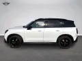 MINI Classic Trim