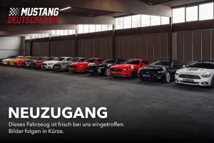 Ford Mustang GT 5.0 Convertible Magne-Ride/rote Brems