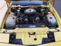 Pontiac FIREBIRD V8 Cabriolet