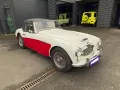 Austin 1957 - Austin-Healey 100/6 (BN4)