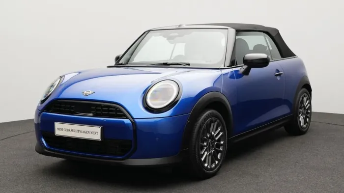 MINI Classic Trim