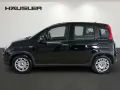 Fiat New Panda Hybrid 1.0 GSE*Parkhilfe hinten*Blueto