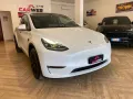 Tesla TESLA MODEL Y Dual Motor LONG RANGE AWD 2022