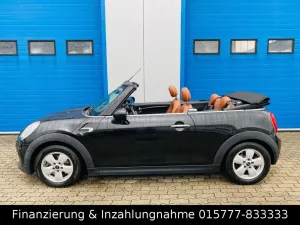 MINI One Cabrio Pepper Leder Ambiente Sitzheizung