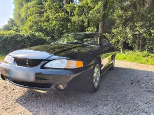 Ford Mustang SN95 Cobra