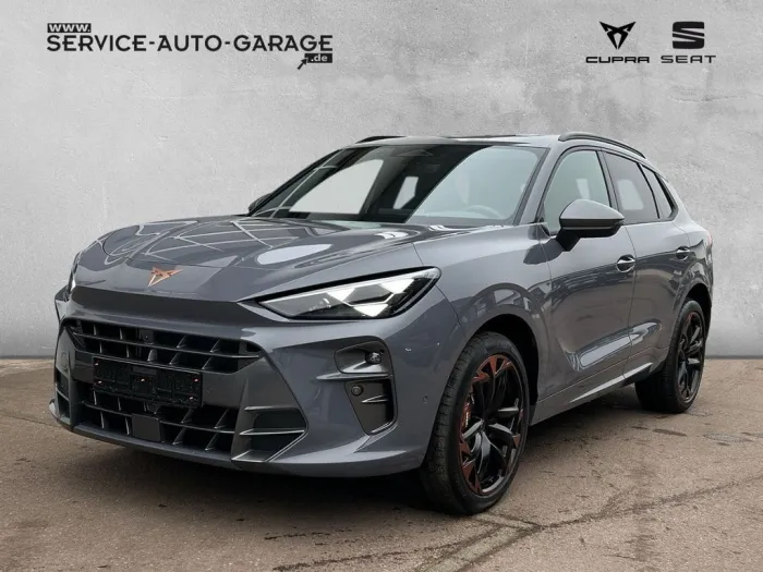 Cupra Terramar VZ 2.0 TSI 265 PS 4Drive Akebono Pano S