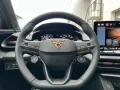 Cupra Terramar VZ 2.0 TSI 265 PS 4Drive Akebono Pano S