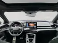 Cupra Terramar VZ 2.0 TSI 265 PS 4Drive Akebono Pano S