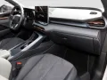 Seat Terramar 2.0 TSI DSG VZ 4Drive AHK/Navi