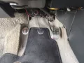 Lancia Delta HF Integrale * sehr gepflegt *