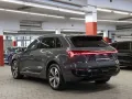 Audi Q8 50 e-tron qu advanced Matrix Keyless Kamera