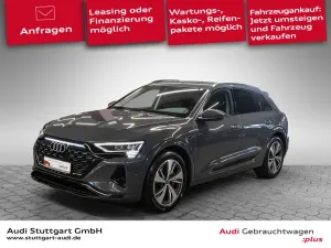 Audi Q8 50 e-tron qu advanced Matrix Keyless Kamera