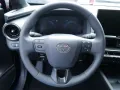 Toyota C-HR Hybrid Team D KLIMA PDC SHZ KAMERA ACC LED 