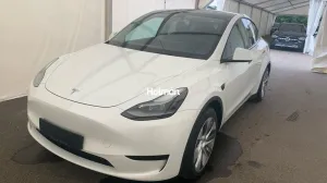 Tesla Model Y Standard Range RWD AHK A.Pilot Pr.Int