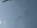 Audi 90