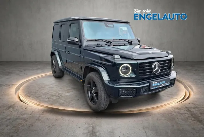 Mercedes-Benz 450 G 450 d Professional Line SAFE ACC SD MEM