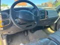 Ford F 150 4.6 V8 Benzin Pickup Automatik
