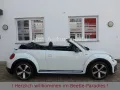 Volkswagen Beetle 1.4TSI DSG R-Line Xenon Navi SHZ 1.Hand