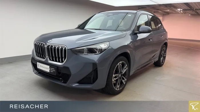 BMW X1 sDrive20i A M-Sport,AHK,DA+,Autom
