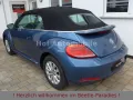 Volkswagen Beetle 1.2TSI Allstar Xenon Kamera Allwetter