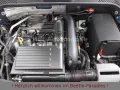 Volkswagen Beetle 1.2TSI Allstar Xenon Kamera Allwetter