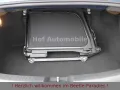 Volkswagen Beetle 1.2TSI Allstar Xenon Kamera Allwetter