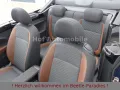 Volkswagen Beetle 1.2TSI Allstar Xenon Kamera Allwetter