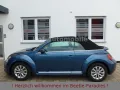 Volkswagen Beetle 1.2TSI Allstar Xenon Kamera Allwetter