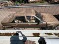 Opel Rekord 2.0