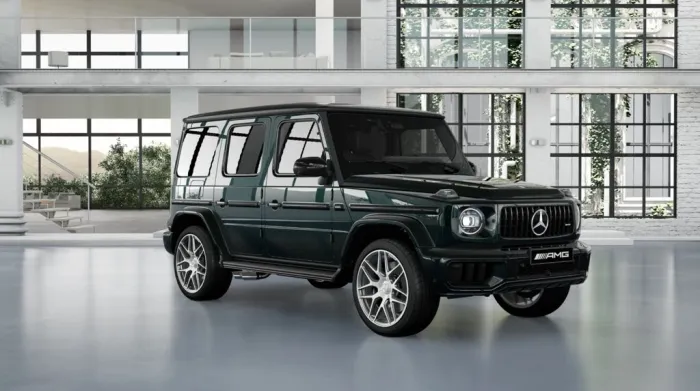 Mercedes-Benz G63 AMG Burm. Standh. Perf.Paket Keyless Carbon