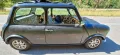 MINI 1300