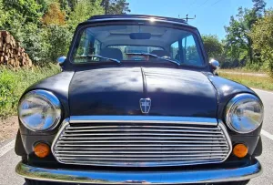 MINI 1300