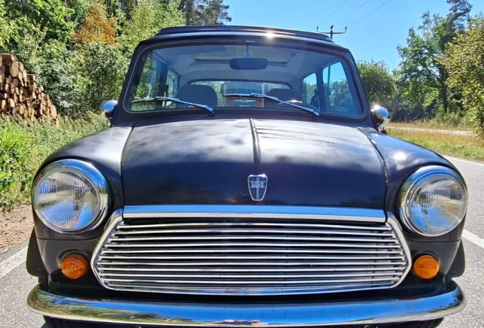 MINI 1300