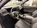 BYD ATTO 2 DM-i Boost