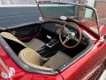 Cobra Backdraft Cobra / V8 / mit Zulassung / Automatik