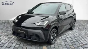 BYD DOLPHIN SURF Comfort
