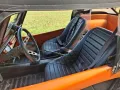 Volkswagen VW Buggy Haz Oldtimer Oldschool