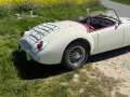 MGA
