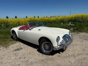 MGA