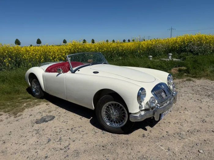 MGA