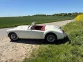MGA