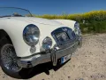 MGA