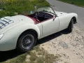 MGA