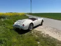 MGA