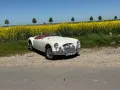 MGA