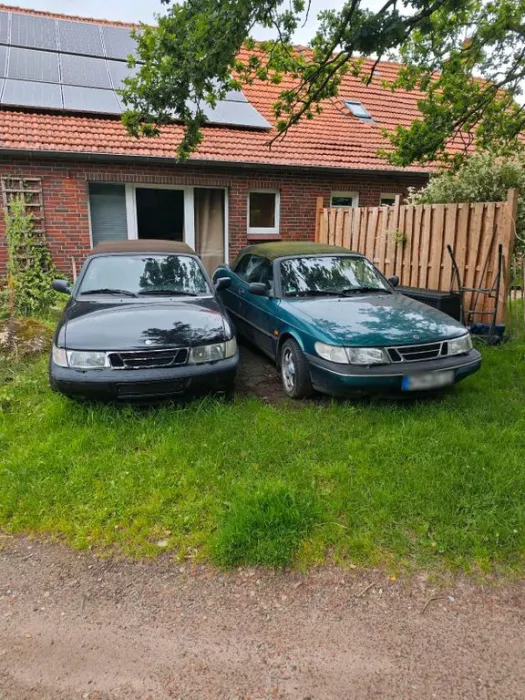Saabine und Saabrina - Preis gilt für beide